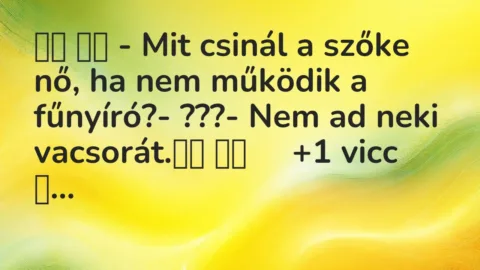 Viccek: 
		  
		  – Mit csinál a szőke nő, ha nem működik a…