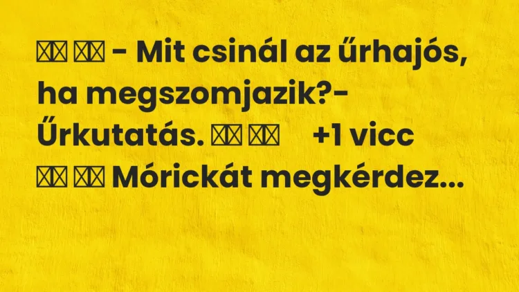 Viccek: – Mit csinál az űrhajós, ha…