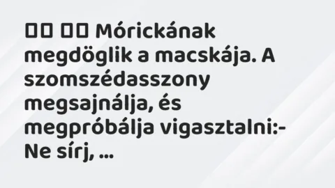 Viccek: 
		  
		  Mórickának megdöglik a macskája. A…