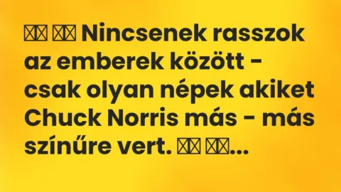 Viccek: 
		  
		  Nincsenek rasszok az emberek között – csak olyan …