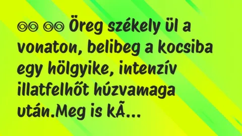 Viccek:
Öreg székely ül a vonaton, belibeg a kocsiba egy … Viccek:
Öreg székely ül a vonaton, belibeg a kocsiba egy …