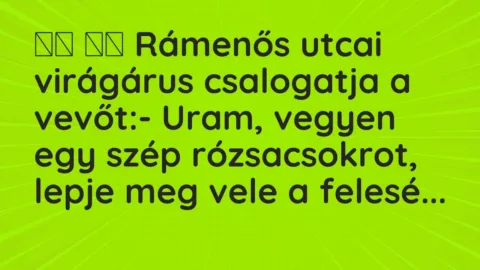 Viccek: 
		  
		  Rámenős utcai virágárus csalogatja a vevőt:- …