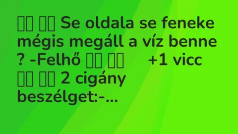 Viccek: 
		  
		  Se oldala se feneke mégis megáll a víz benne ?…