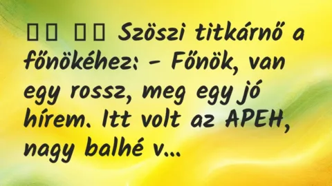Viccek:
Szöszi titkárnő a főnökéhez: – Főnök, van egy… Viccek:
Szöszi titkárnő a főnökéhez: – Főnök, van egy…