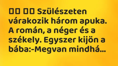 Viccek: 
		  
		  Szülészeten várakozik három apuka. A román, a…