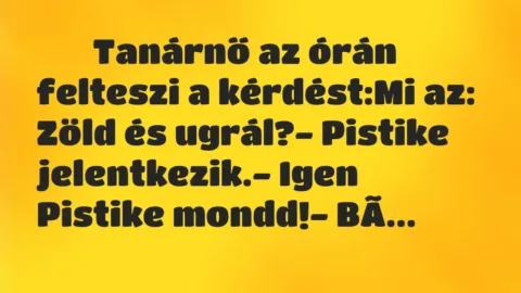 Viccek: 
		  
		  Tanárnő az órán felteszi a kérdést:Mi az:…