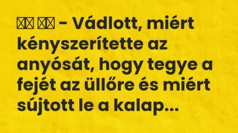 Viccek: 
		  
		  – Vádlott, miért kényszerítette az anyósát, hogy …