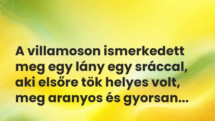 Vicces történet:
A villamoson ismerkedett meg egy lány… Vicces történet:
A villamoson ismerkedett meg egy lány…