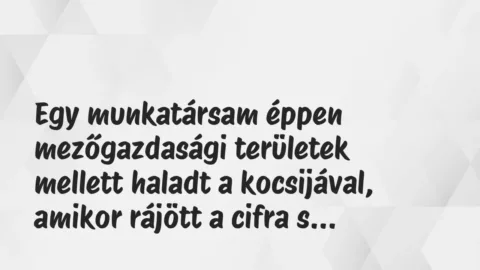 Vicces történet: 
	    	    


Egy munkatársam éppen mezőgazdasági…