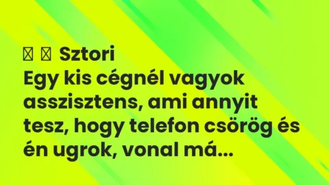 Vicces történet:
Sztori
Egy kis cégnél vagyok asszisztens, ami annyit … Vicces történet:
Sztori
Egy kis cégnél vagyok asszisztens, ami annyit …