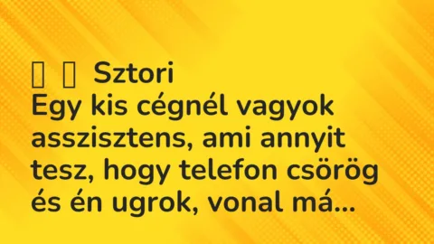 Vicces történet:
Sztori
Egy kis cégnél vagyok asszisztens, ami annyit … Vicces történet:
Sztori
Egy kis cégnél vagyok asszisztens, ami annyit …