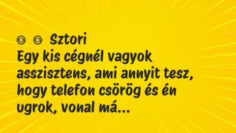 Vicces történet: 
	    	    Sztori


Egy kis cégnél vagyok asszisztens, ami annyit …