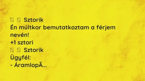 Vicces történet: 
	    	    Sztorik


Én múltkor bemutatkoztam a férjem nevén!