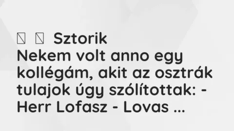 Vicces történet: 
	    	    Sztorik


Nekem volt anno egy kollégám, akit az osztrák…