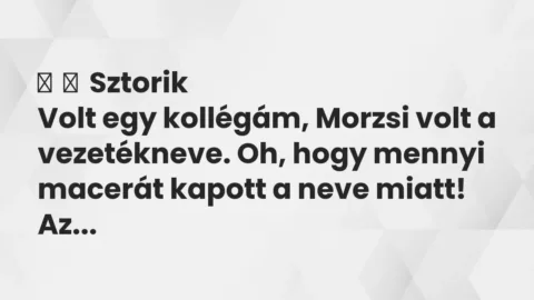Vicces történet: 
	    	    Sztorik


Volt egy kollégám, Morzsi volt a vezetékneve….