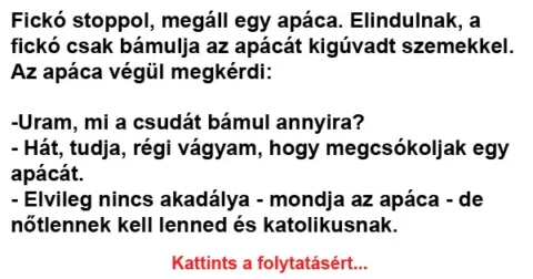 Vicc: Fickó stoppol, megáll egy apáca