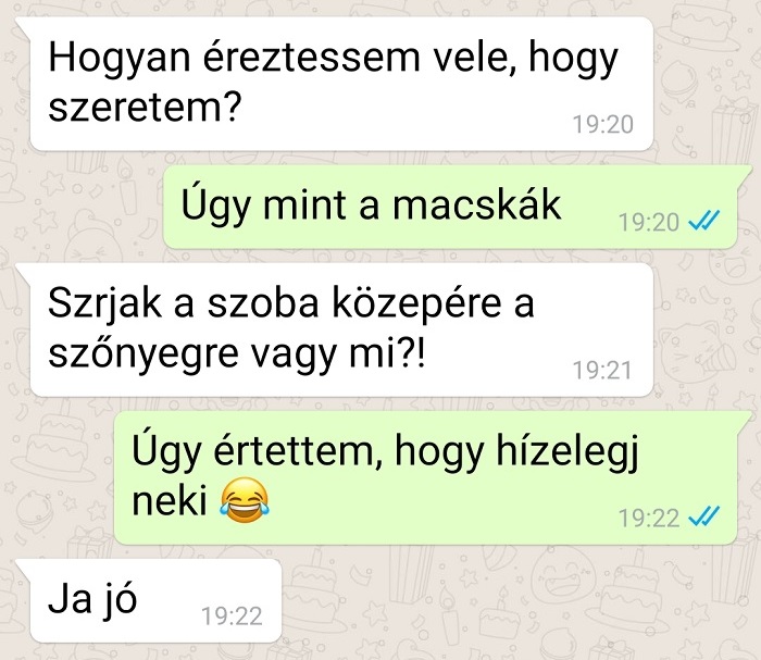 Macskák érzései