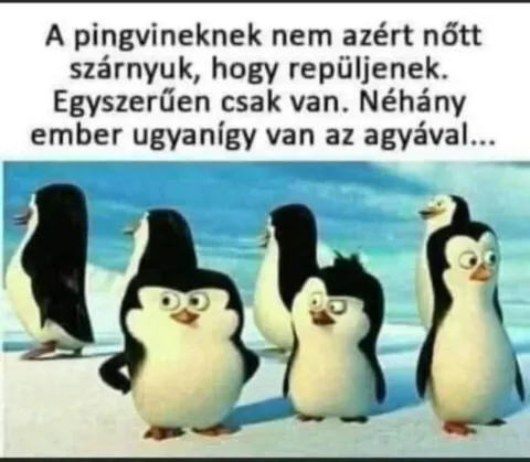 #VK1769225524