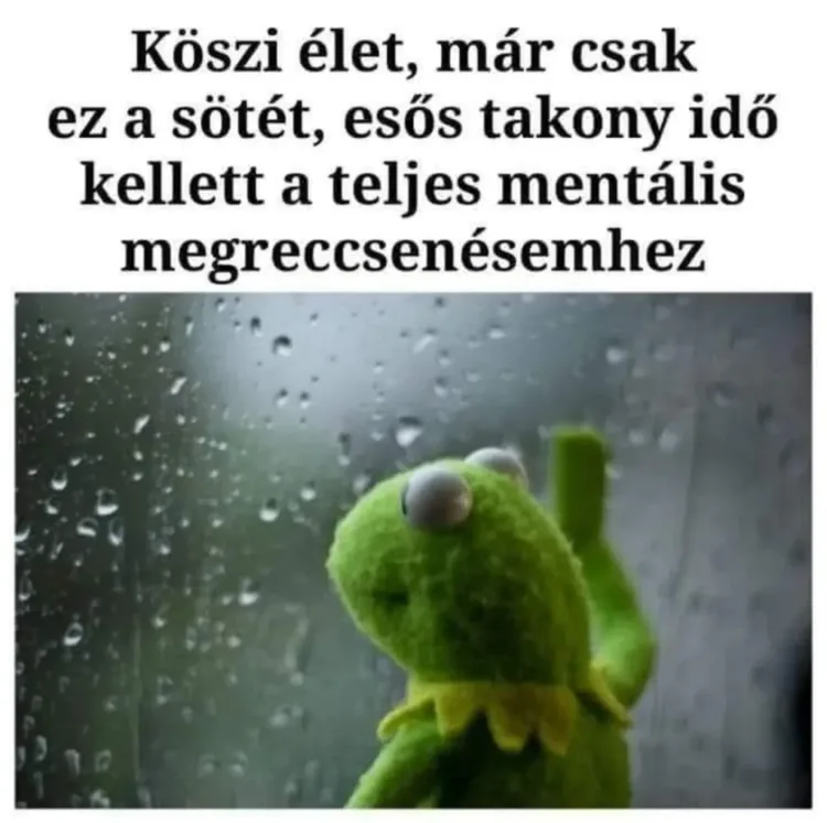 Köszi élet, már csak ez a sötét, esős takony idő kellett a teljes mentális... Köszi élet, már csak ez a sötét, esős takony idő kellett a teljes mentális...