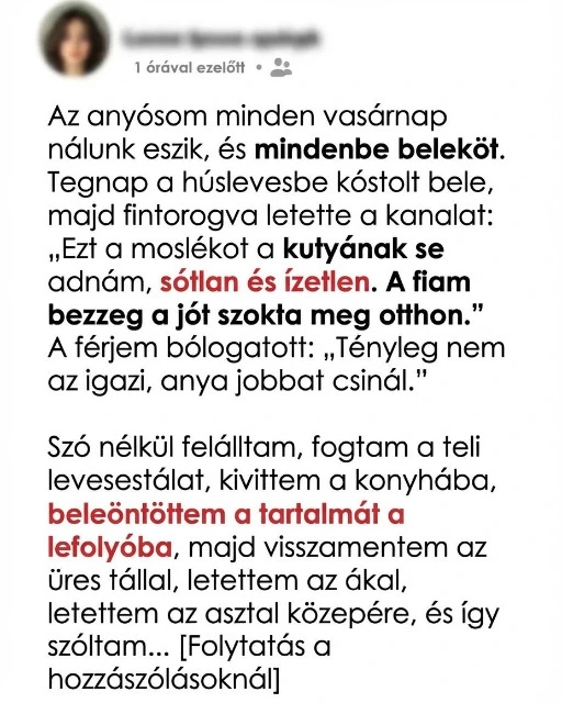 Az anyósom leszólta a főztömet, ezért üres tányér maradt az