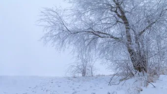 Fagyos hajnal után enyhülés: ilyen az időjárás január 17-én