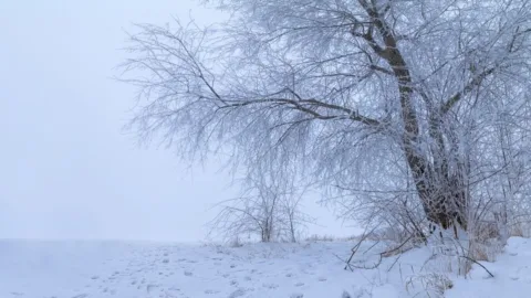 Fagyos hajnal után enyhülés: ilyen az időjárás január 17-én