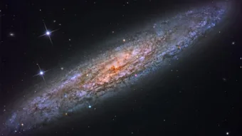 Kvíz: Amit tudni vélsz – de biztos?