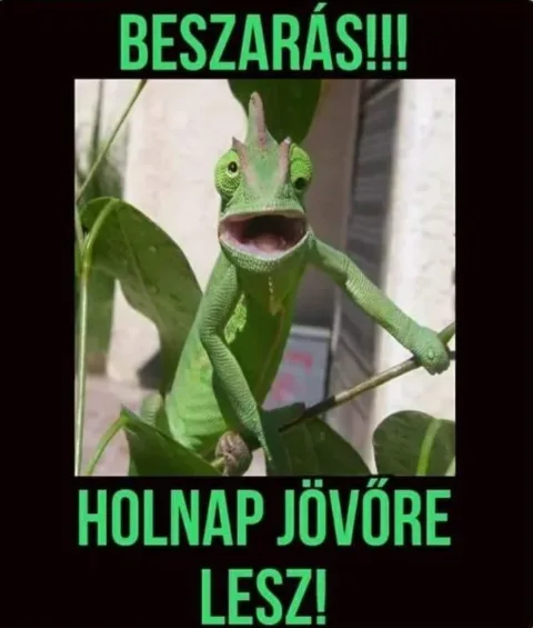 #VK1767214542