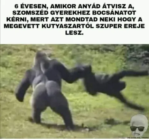 #VK1767271973