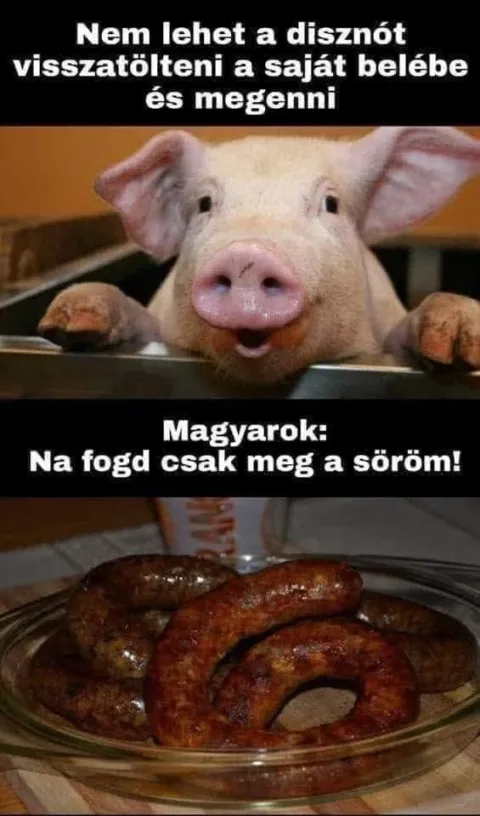 #VK1767352843