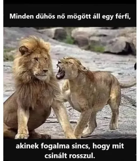 #VK1767352854