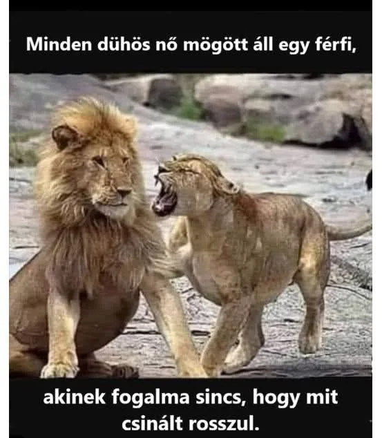 #VK1767352854 #VK1767352854