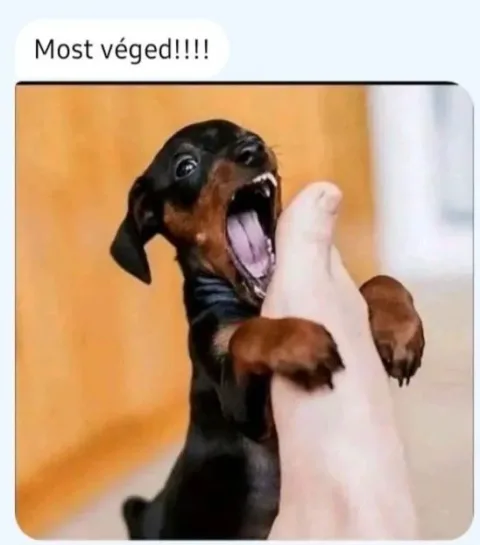 #VK1767442891