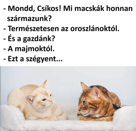 #VK1767512800 #VK1767512800