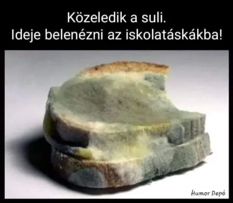 Közeledik a suli Ideje belenézni az iskolatáskákba...