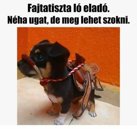 #VK1767778934 #VK1767778934
