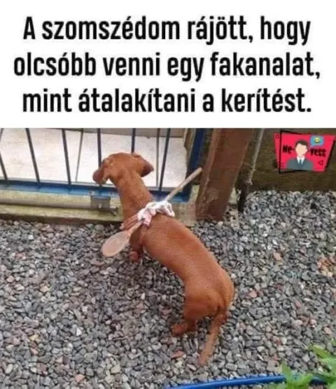 #VK1767778942 #VK1767778942