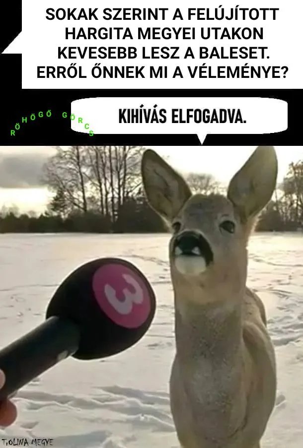 #VK1767937795 #VK1767937795