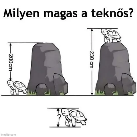 #VK1768130794