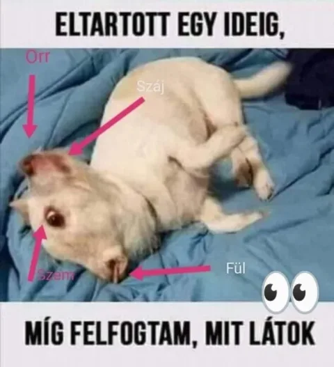 #VK1768324449 #VK1768324449