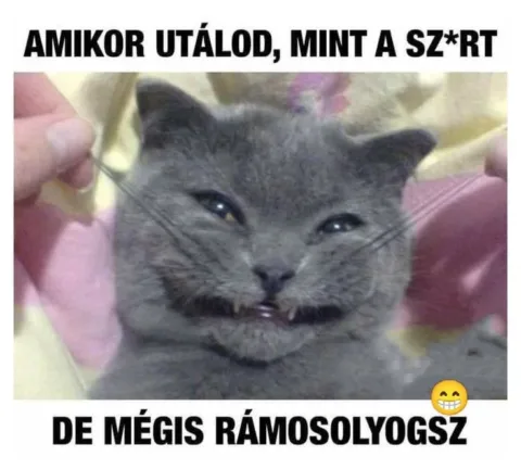 #VK1768471850