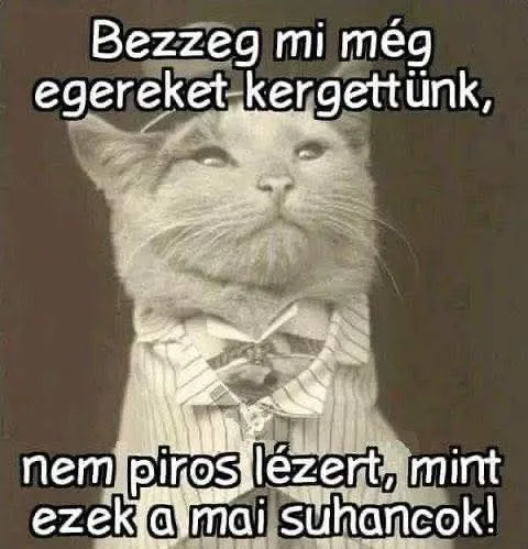 #VK1768580543