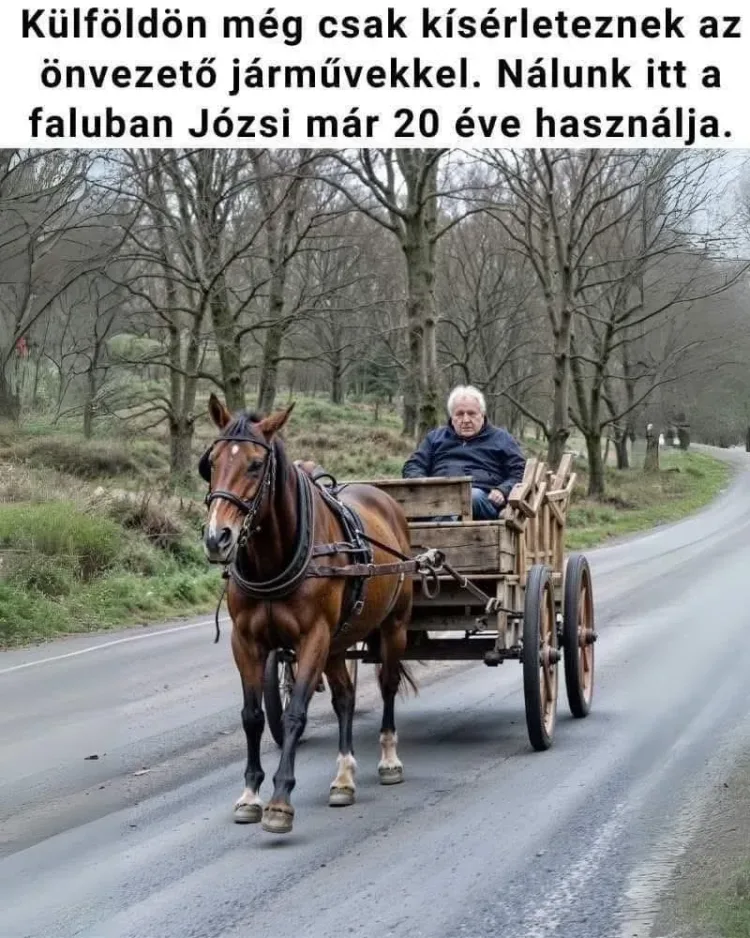 #VK1768725354 #VK1768725354