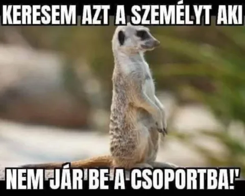 #VK1768848263