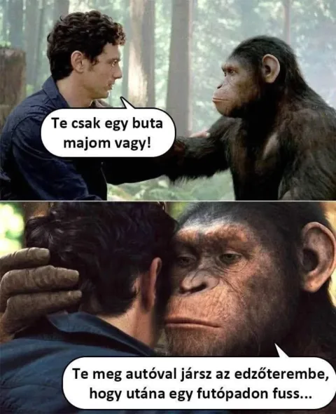 #VK1768909382