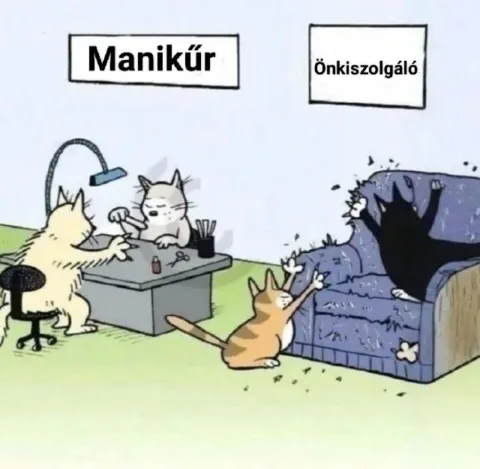#VK1768911546