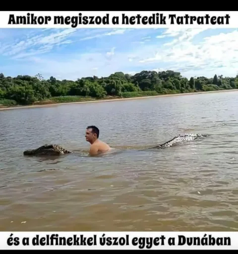 #VK1768927985