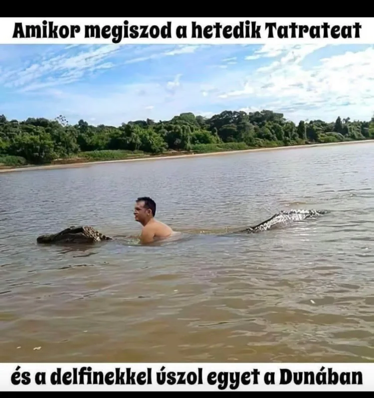 #VK1768927985 #VK1768927985