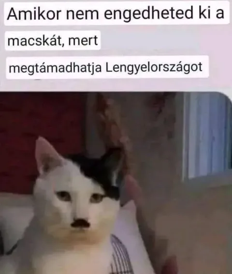 #VK1769008354