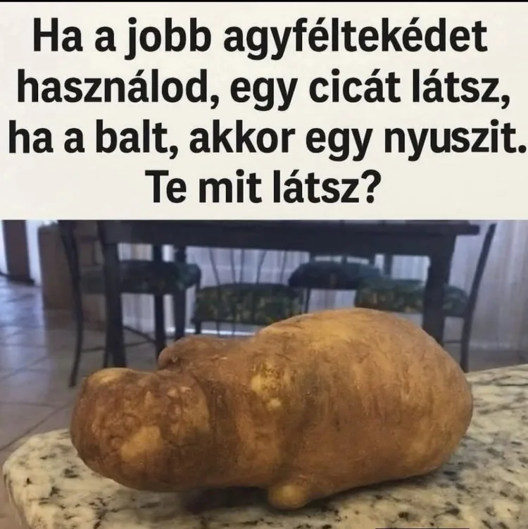 #VK1769057884 #VK1769057884